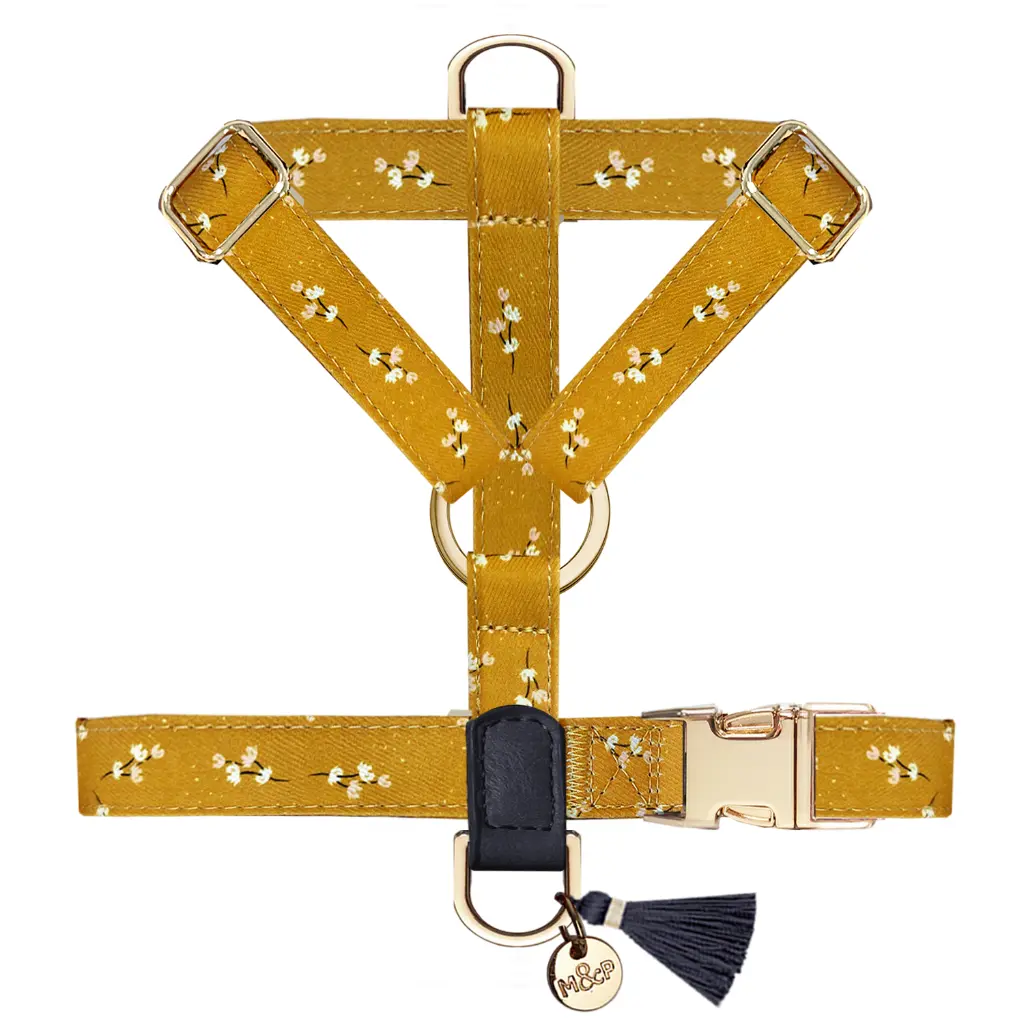 MP4380 - JULY - Straps 1.webp