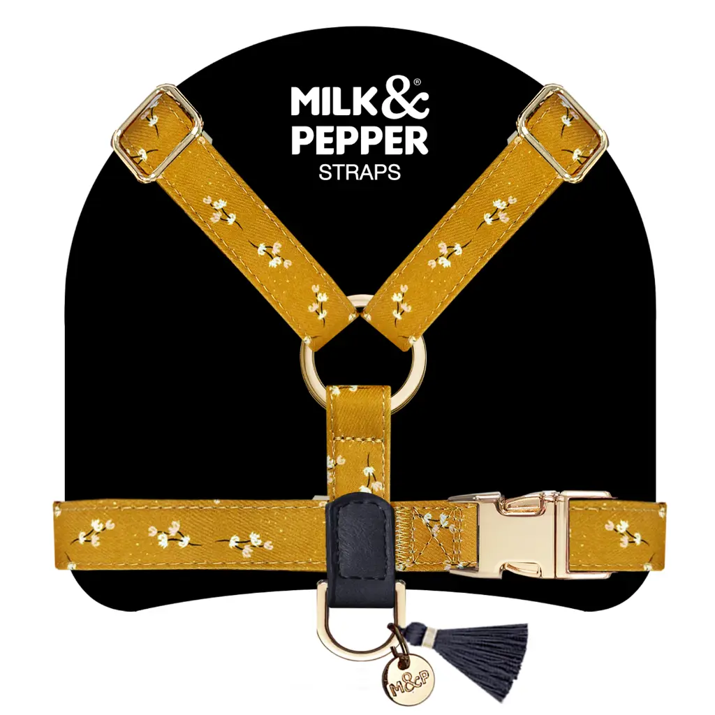 MP4380 - JULY - Straps 2.webp