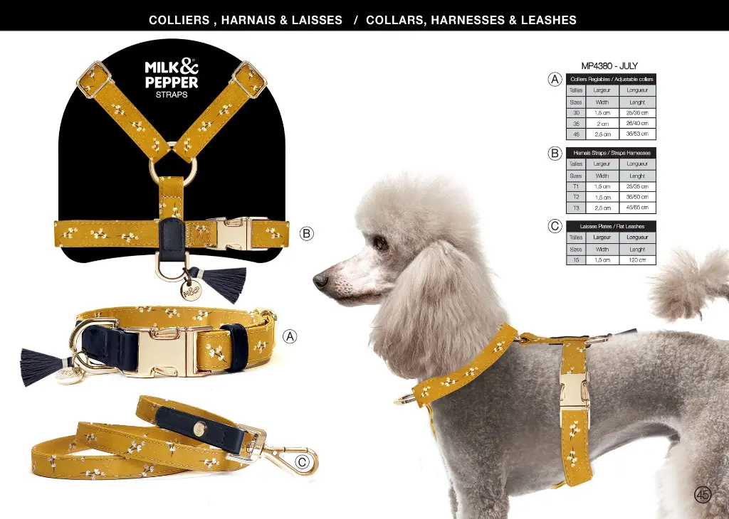 MP4380 - JULY - Gamme (1).webp