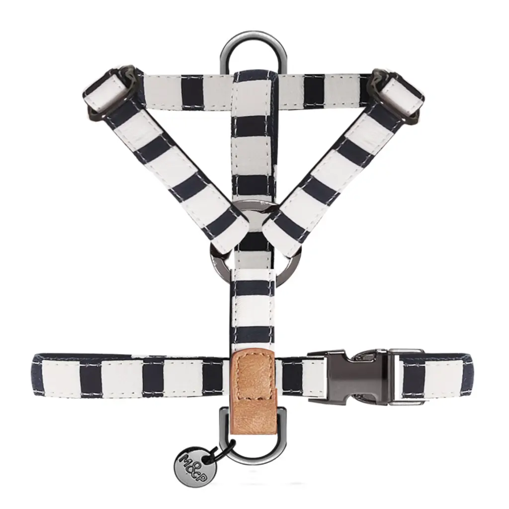 MP4306 - NAVAL - Harnesses H 1.webp