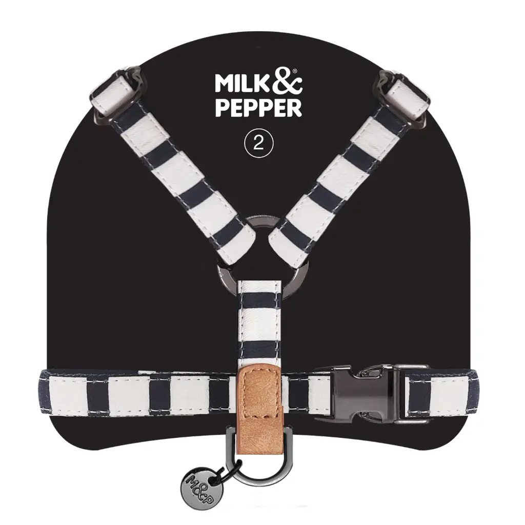 MP4306 - NAVAL - Harnesses H 2.webp