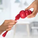 KONG-Brush-Lifestyle-600x600.webp