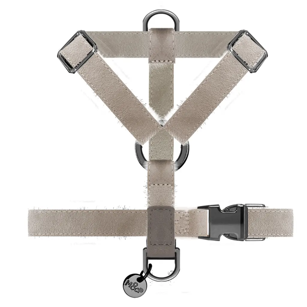 MP4383 VALDEMAR - Straps 1.webp