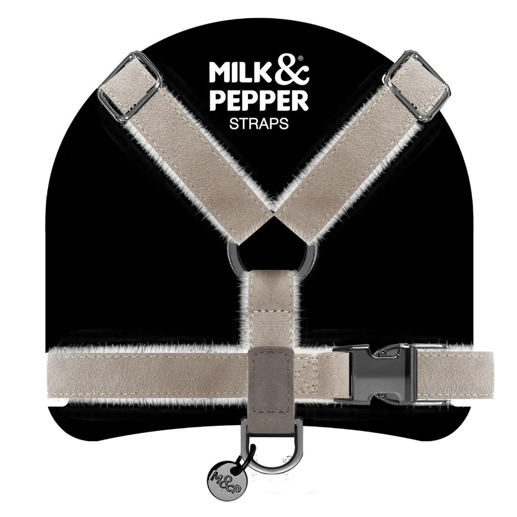 MP4383 VALDEMAR - Straps 2.webp