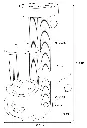 561392_T_01.webp