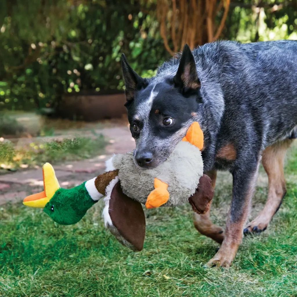 Jouet peluche canard