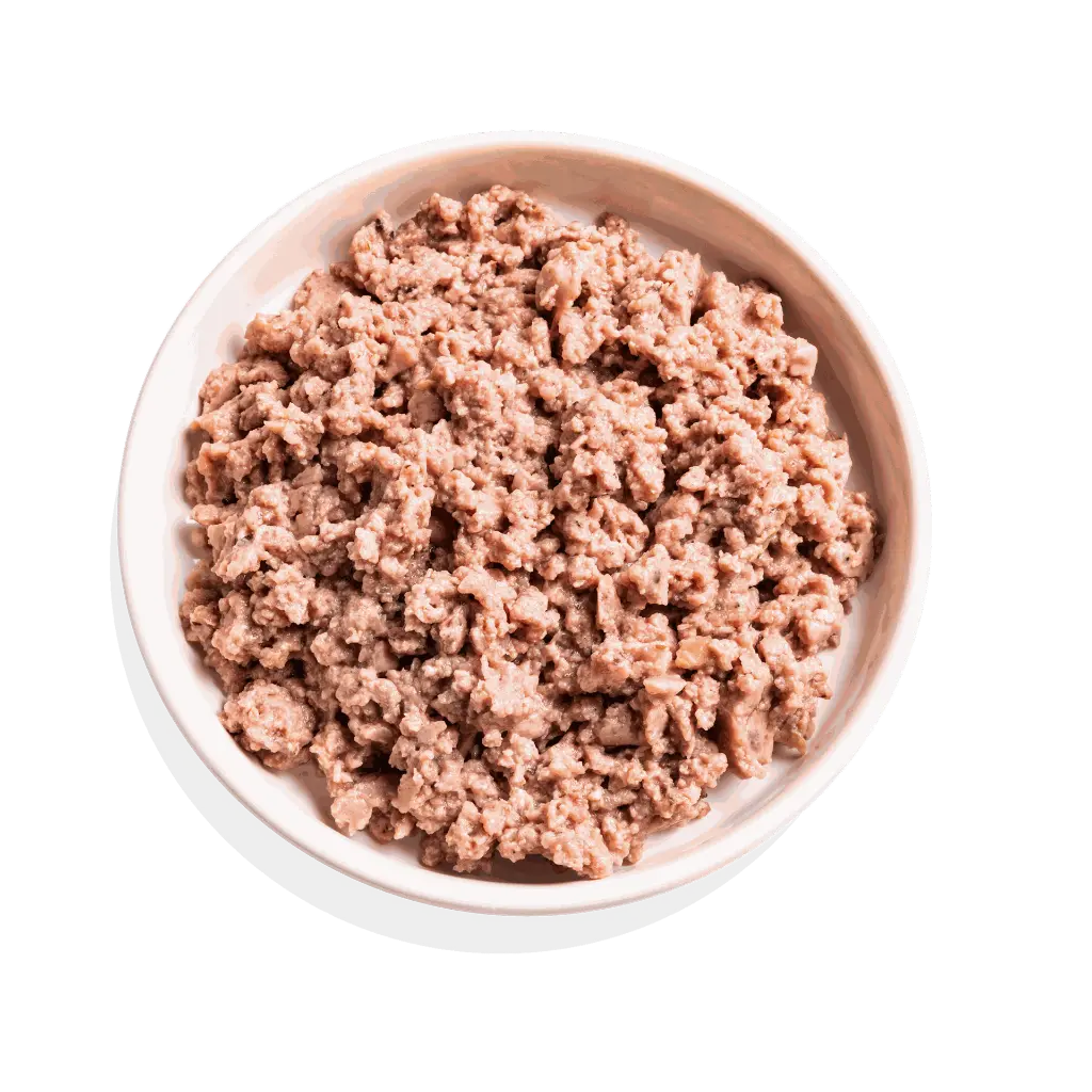 Pâté moelleuse pour chat à la dinde et au poulet bio (85 g) - Edgard & Cooper