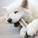 bois-de-cerf-tranche-taille-m (2).webp