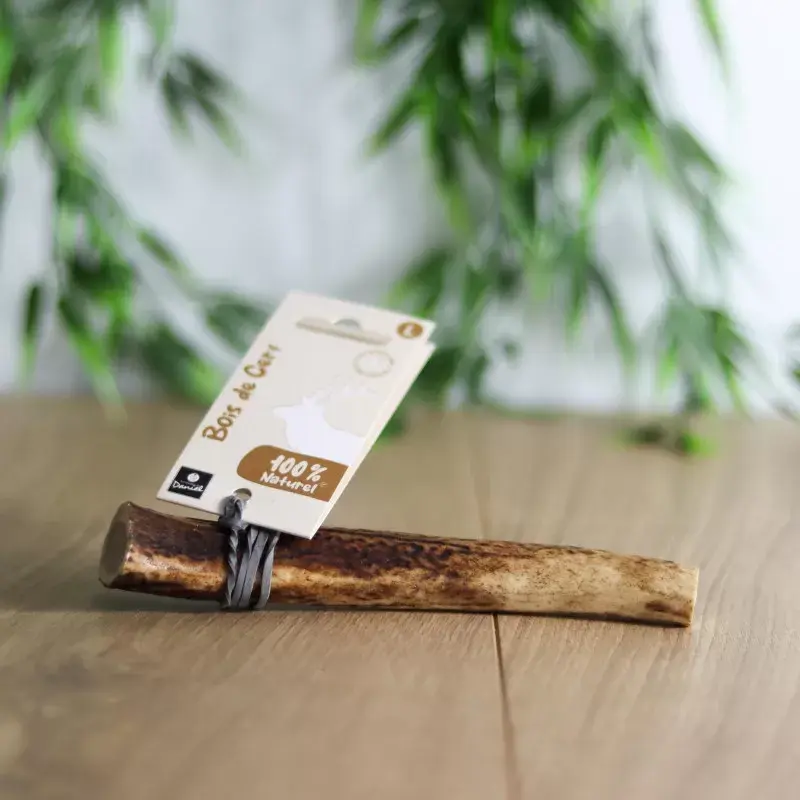 Bois de cerf L (76-150 g) - Les recettes de Danie