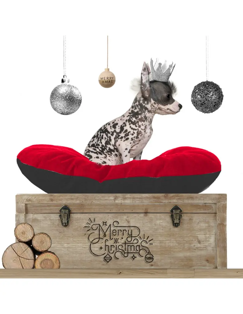 coussin-ovale-wonderfull-rouge-milk-pepper (1).webp