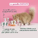 Gamelle céramique Cool Cat Club Rose & Beige (15.5 cm) - Ziggy