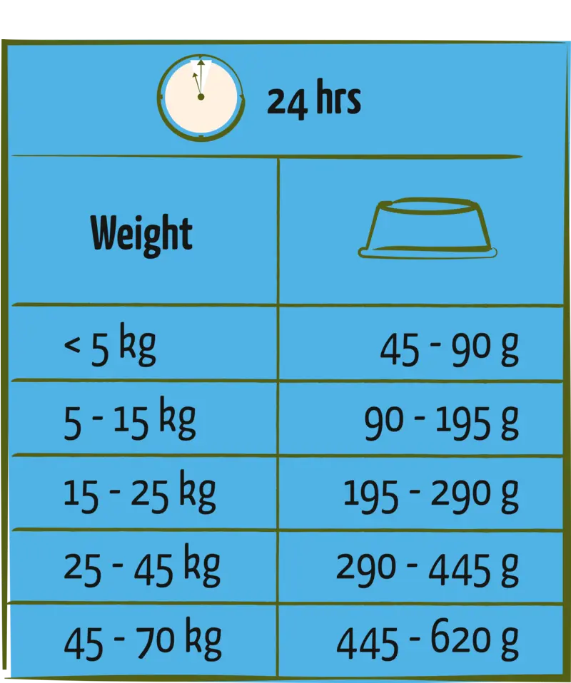 5410340310922chart (1).webp