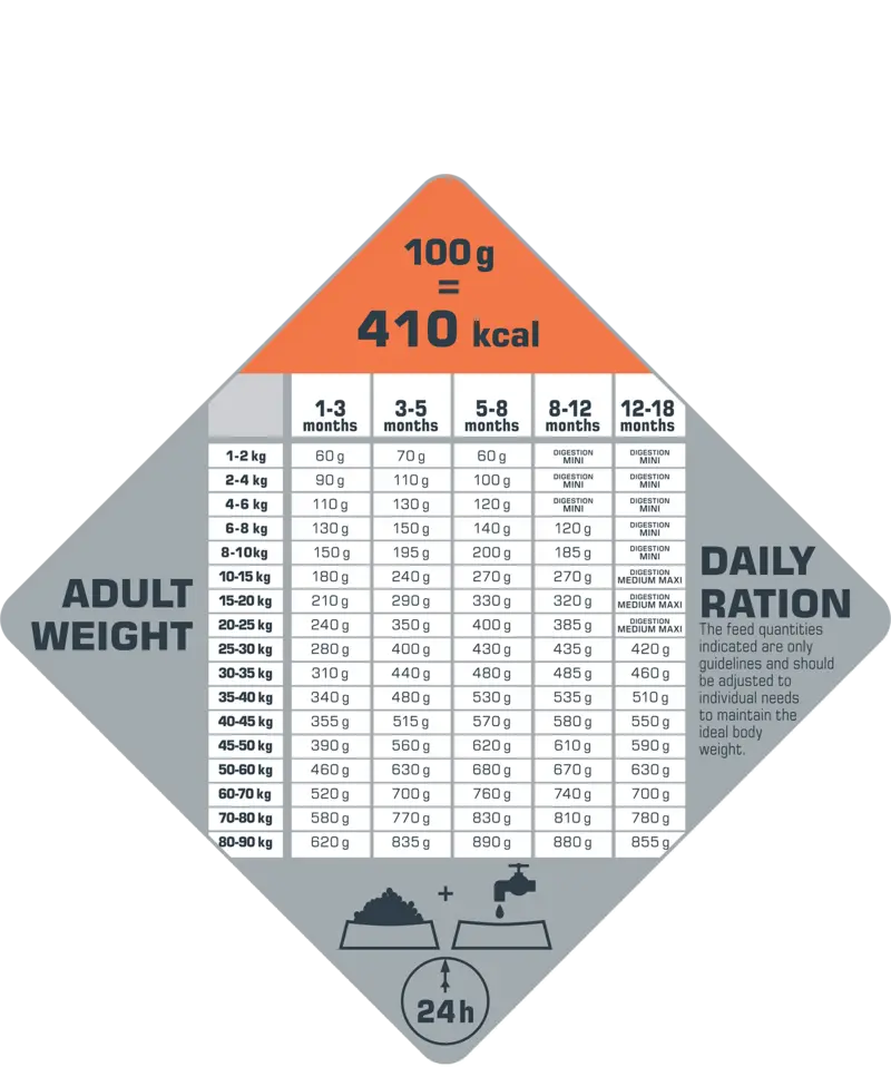 OLPuppyDigest DailyRation.webp