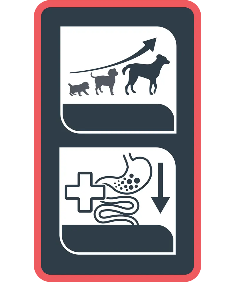 OLPuppyDigest MainClaims.webp