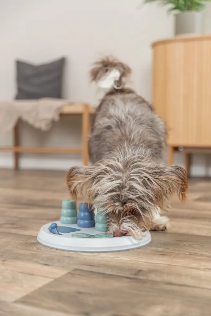 Dog Activity Flip Board XXL