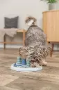 Dog Activity Flip Board XXL