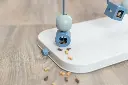 Dog Activity Skills Loop