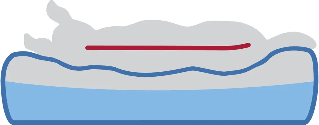 GRA_PRO_VitalBett-Hund-2_#SALL_#AWK_#V1 (1).webp