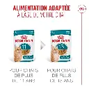 81854045-1b79-40ea-87b6-b36e0035f15f_DownloadAsJpg (1).webp