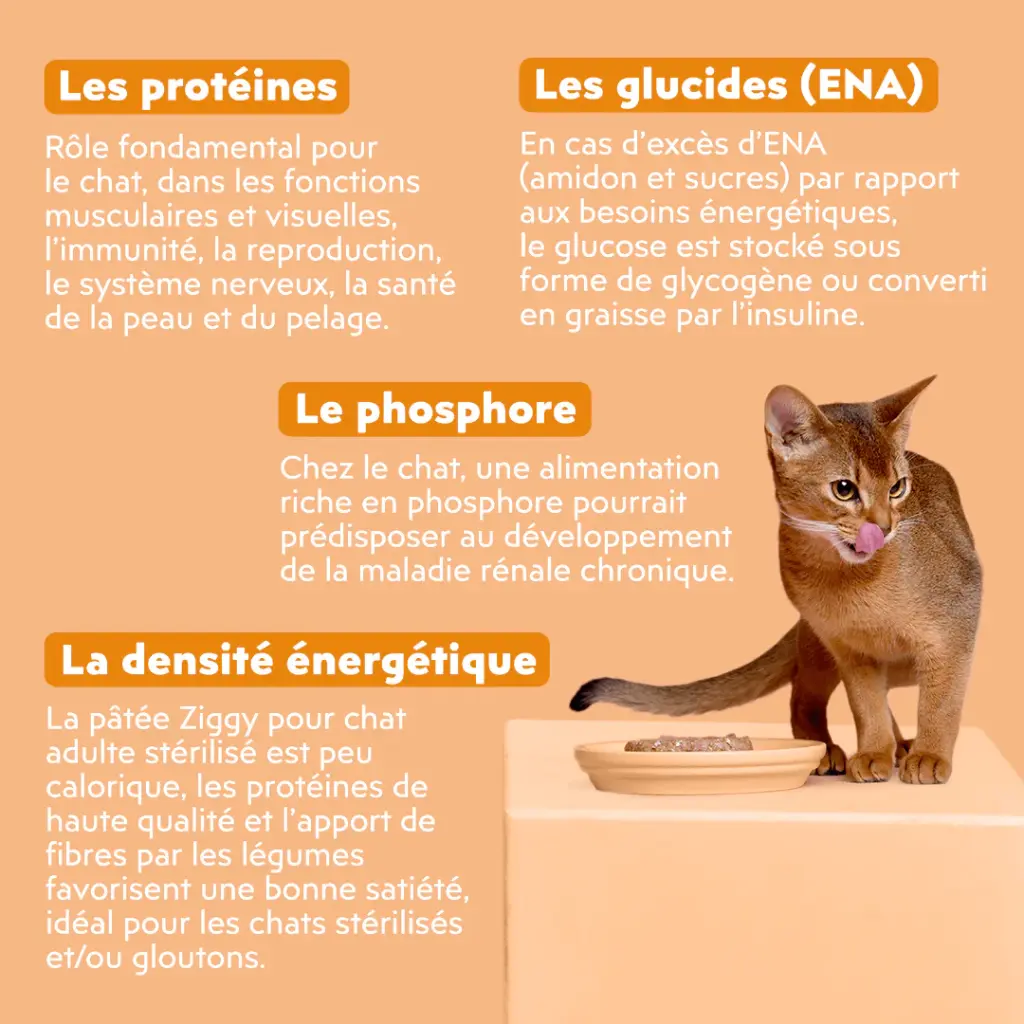 Pâtée Complète Chat Adulte Stérilisé poulet (4 barquettes 100 g) - Ziggy