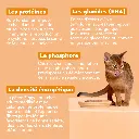 Pâtée Complète Chat Adulte Stérilisé poulet (4 barquettes 100 g) - Ziggy