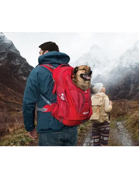 sac-a-dos-kurgo-g-train-k9 (5).webp