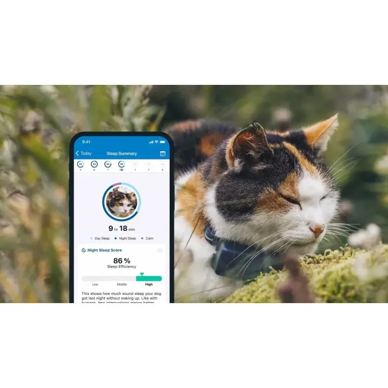 gps-tractive-cat-mini-pour-chat (1).webp