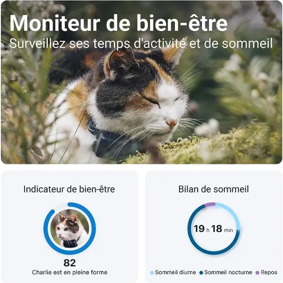 gps-tractive-cat-mini-pour-chat (1).webp