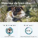 gps-tractive-cat-mini-pour-chat (1).webp