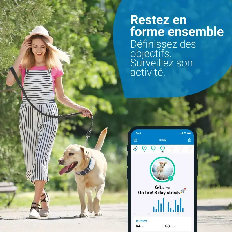 gps-tractive-dog-4-pour-chien (2).webp