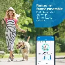 gps-tractive-dog-4-pour-chien (2).webp