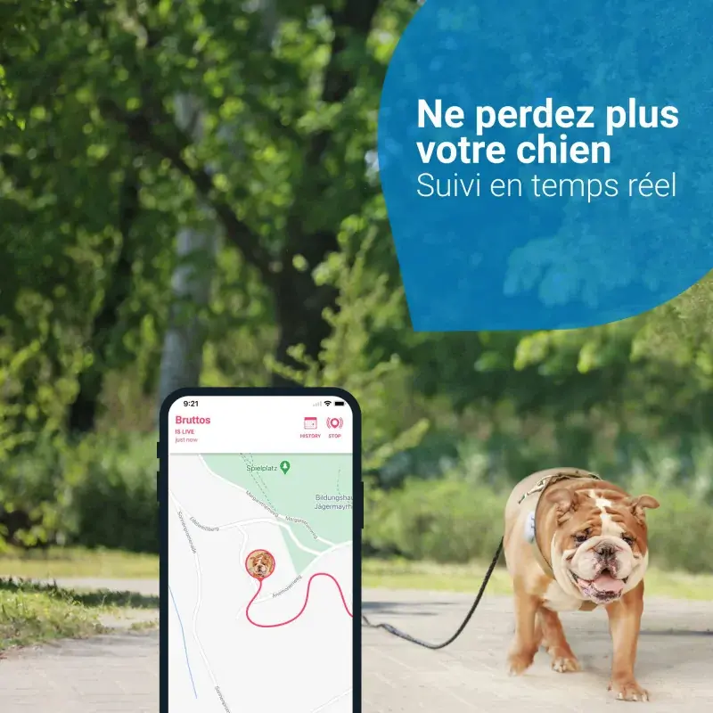 gps-tractive-dog-4-pour-chien (1).webp