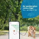 gps-tractive-dog-4-pour-chien (1).webp