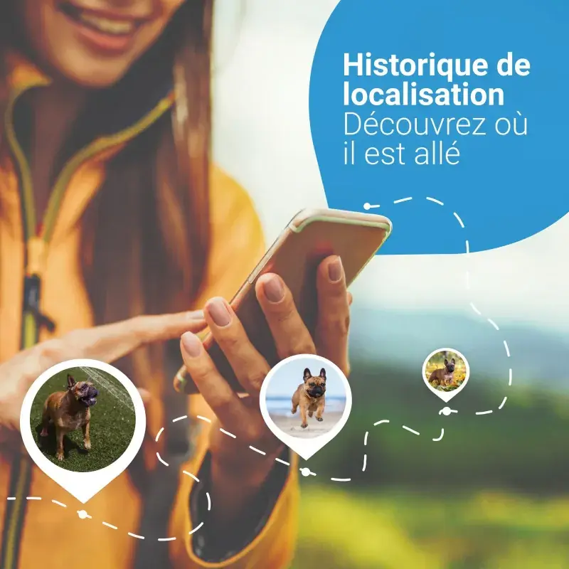 gps-tractive-dog-4-pour-chien (4).webp