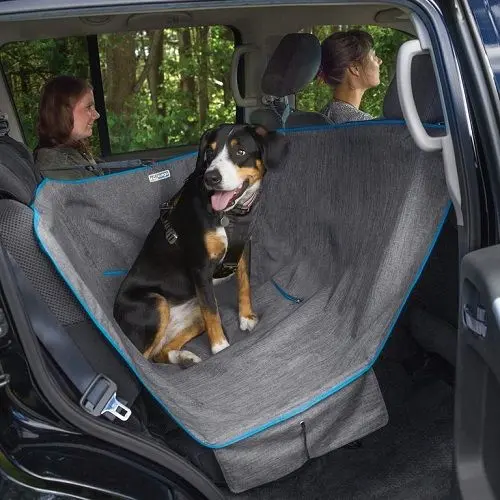 demi_hamac_de_banquette_heather_chien_en_voiture_petsafe2_8813.webp