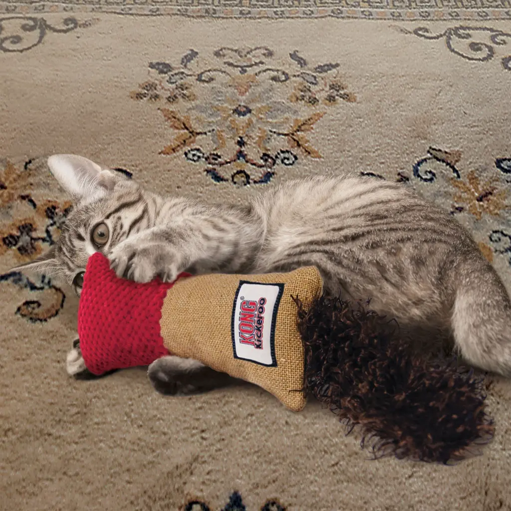Jouet Kickeroo Coussin