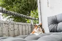 PHO_IMAGE_CAT_May-entspannt-Schutznetz-Balkon-3_#SALL_#AWK_#V1.webp