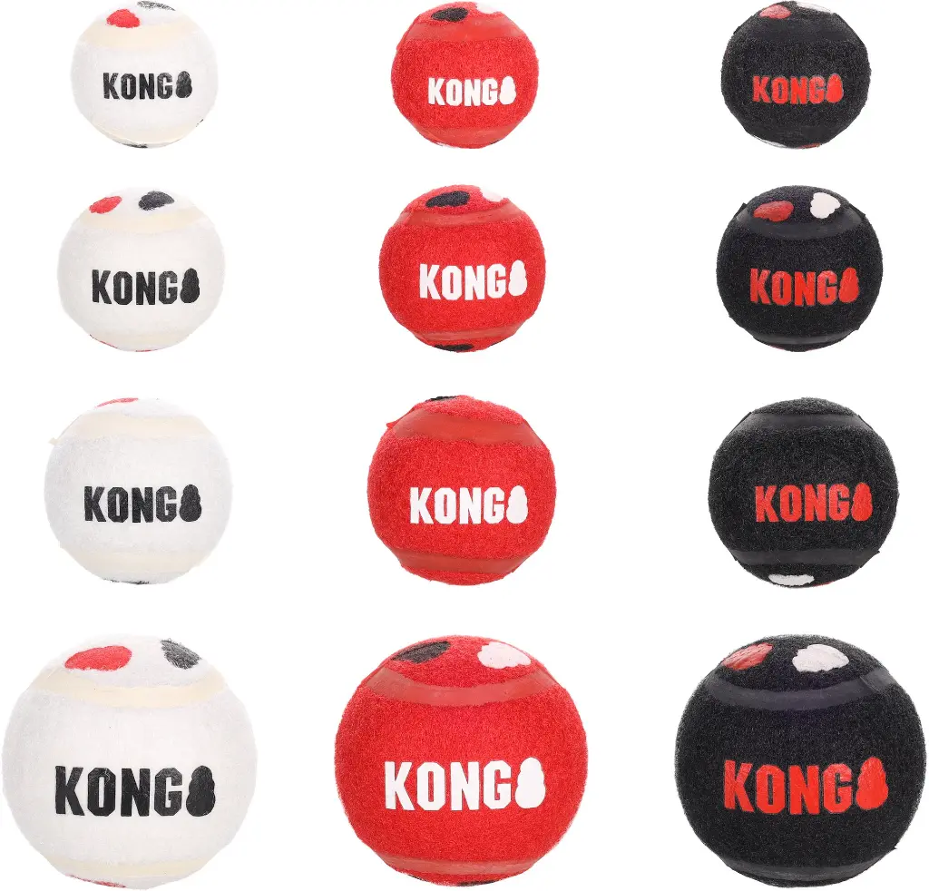 Jouet KONG signature mélange balle