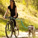 barre-canivtt-link-alm-i-dog (2).webp