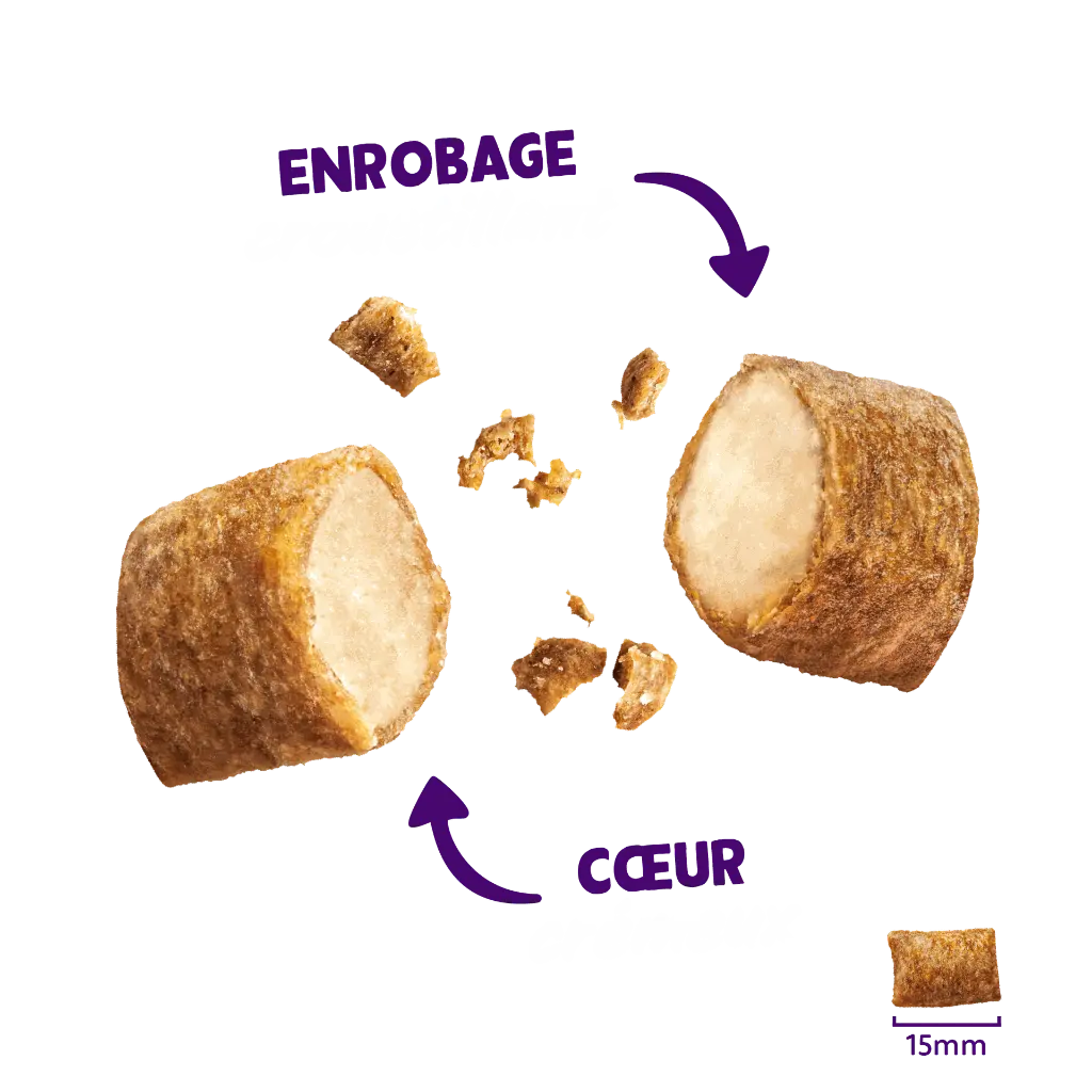 Product_-_Cat_All_Pillows_FR (1).webp