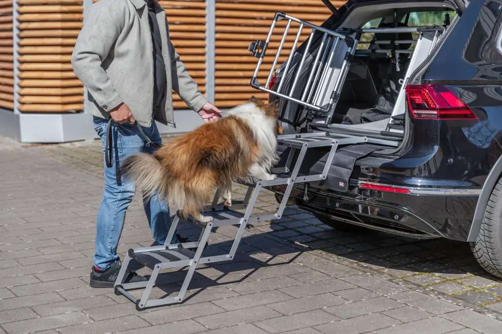 PHO_IMAGE_DOG_Sheltie-Odin-Heckgitter-Treppe-Auto-4_#SALL_#AWK_#V1.webp
