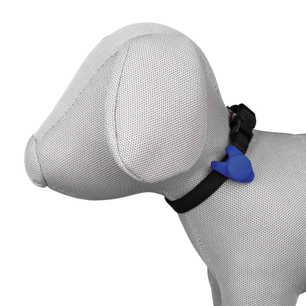Flasher pour chien