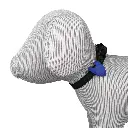 Flasher pour chien
