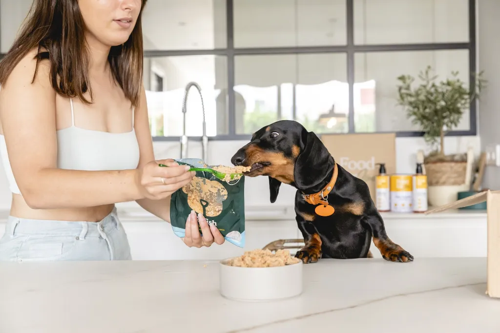 0872_19-05-2023-FOOD FOR JOE.webp