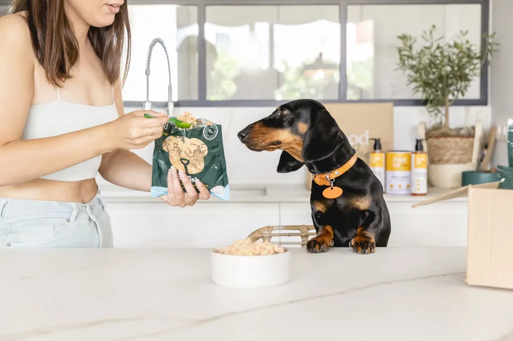 0856_19-05-2023-FOOD FOR JOE.webp