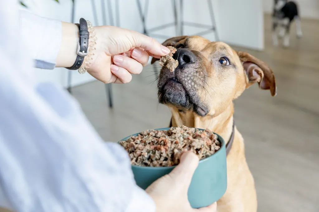 0173_19-05-2023-FOOD FOR JOE (1).webp