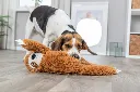 PHO_PRO_DOG_35671-9_#SALL_#AWK_#V1.webp