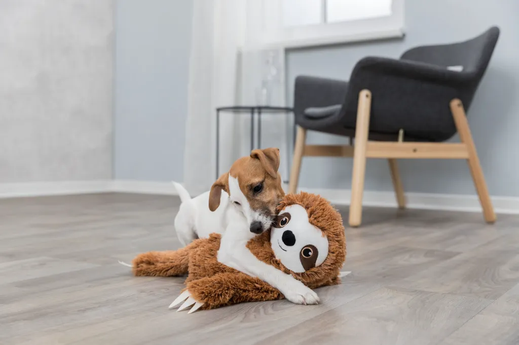 PHO_PRO_DOG_35671-1_#SALL_#AWK_#V1.webp