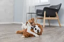 PHO_PRO_DOG_35671-1_#SALL_#AWK_#V1.webp