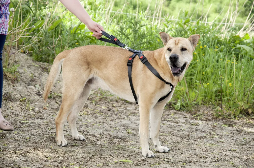 1032113_S_01 (1).webp